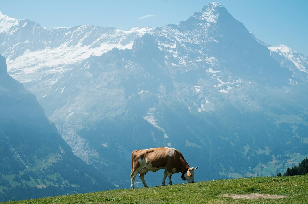 swiss alps hidden valley