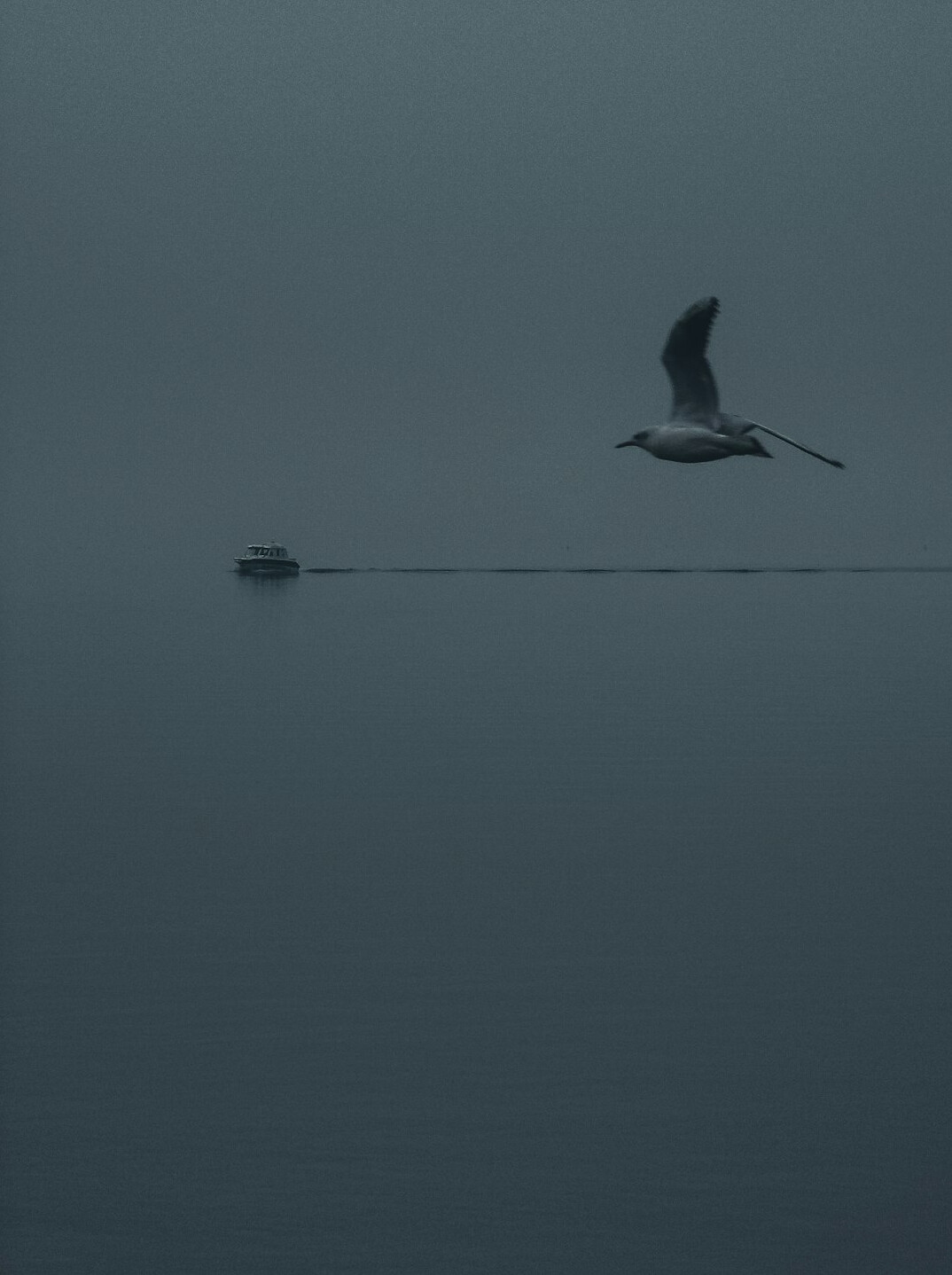 foggy swiss lake